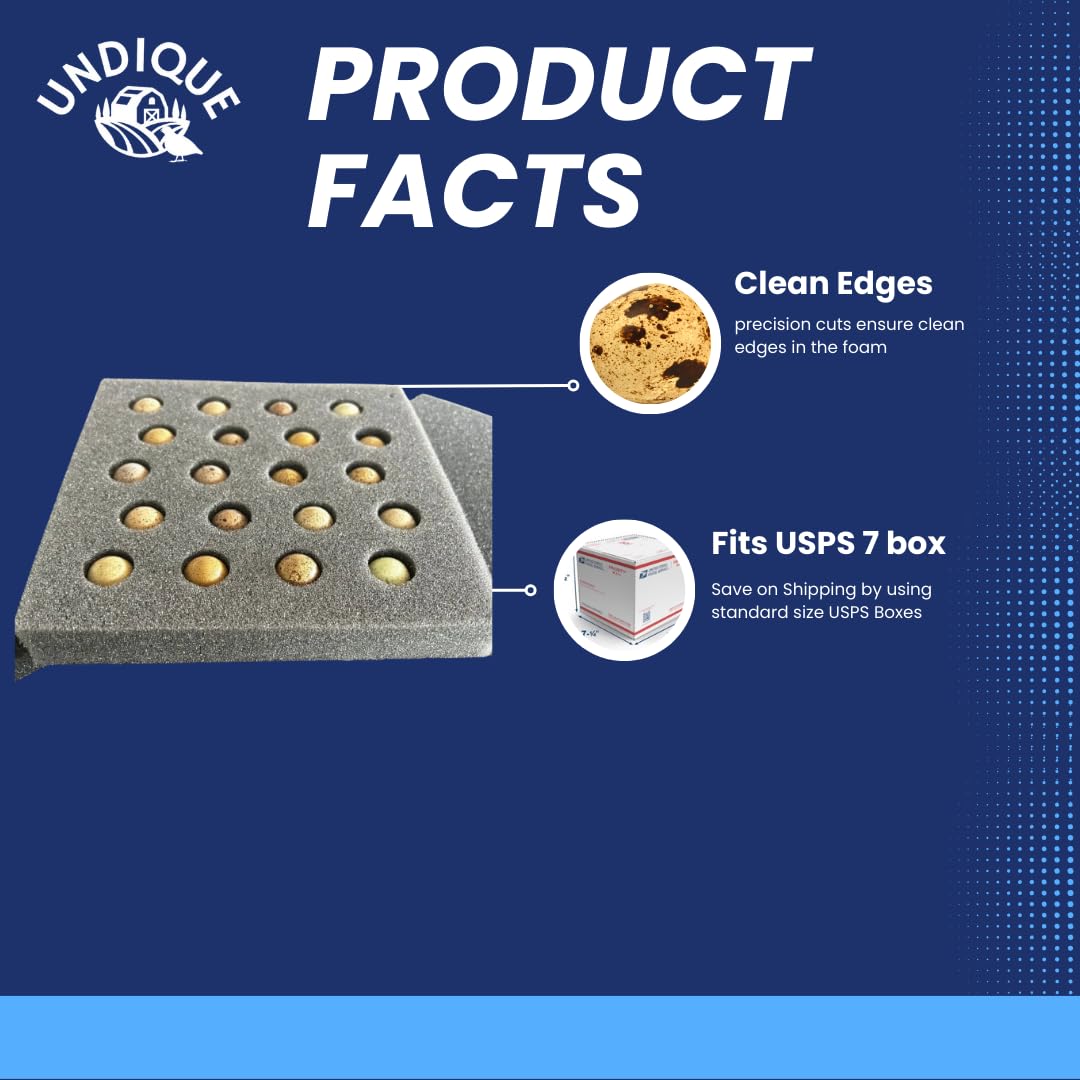 Button Quail Egg Foam Shipper 20 Hole Sets - Safe Egg Transport for Button Quail Eggs (5 Count)