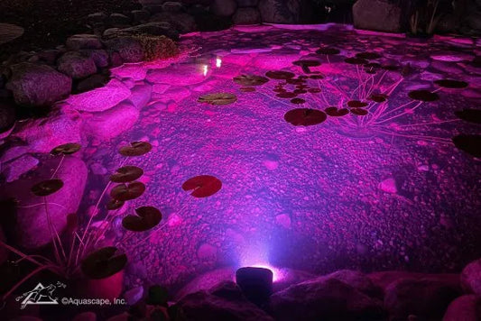 Aquascape 11-Watt Color-Changing Wide-Angle Light