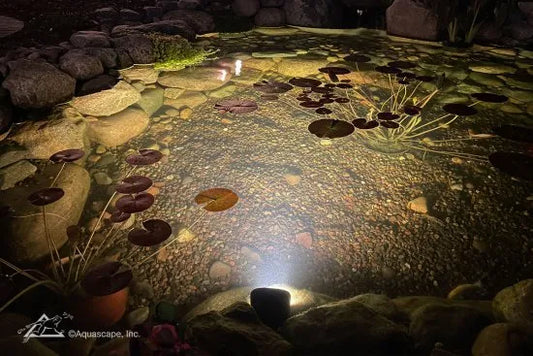 Aquascape 8-Watt Wide-Angle Light