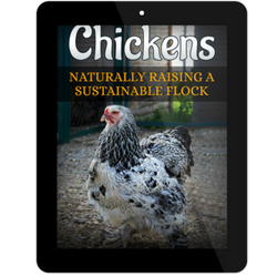 Chickens: Naturally Raising A Sustainable Flock Digital Version