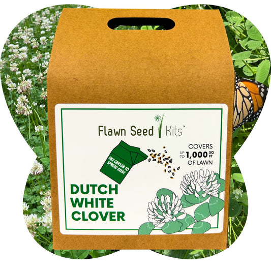 Dutch White Clover Eco-Friendly Seeding Kit