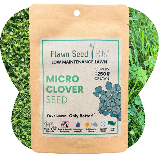 Micro Clover Seed