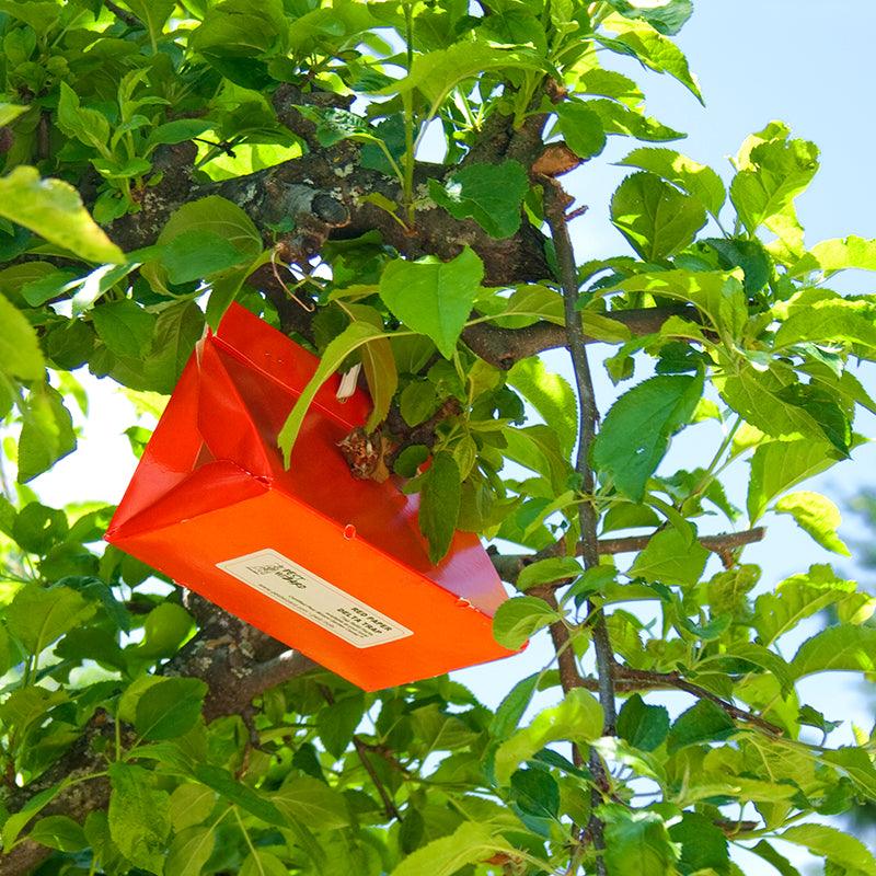 Pest Wizard Paper Delta Trap 3-Pack