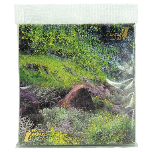 Pest Wizard BUGS in the PANTRY 2-Pack Andreas Canyon