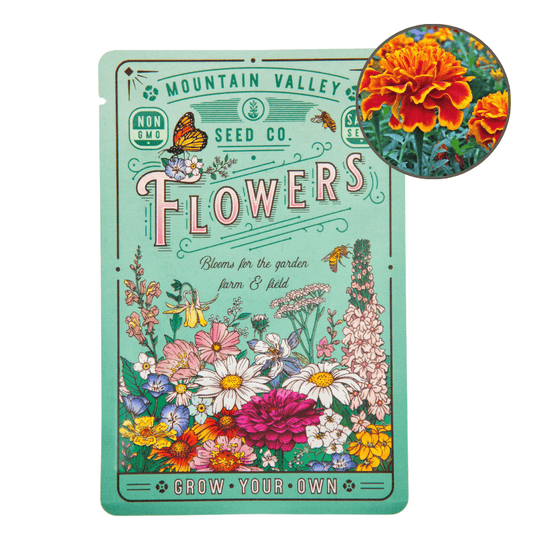 Sparky Marigold (Organic)