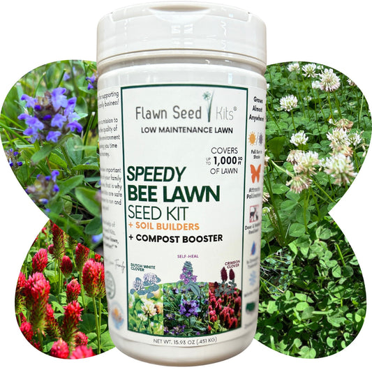 Speedy Bee Lawn Seed Kit – Quick Blooming, Pollinator-Friendly Flowering Lawn