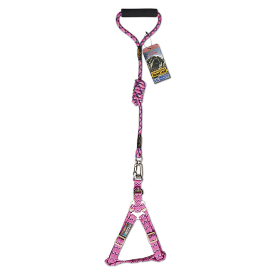 Dog Helios Surfside Designer Leash and Harness