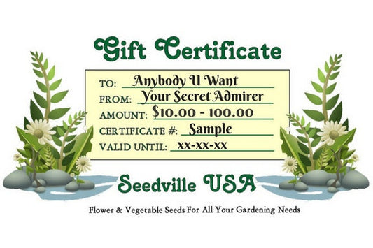 Seedville USA Shop Gift Certificate - Ferns Rock Design - By Email or Postal Mail - You Choose Amount