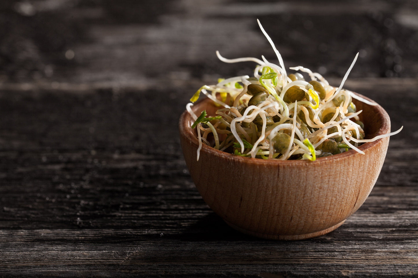 ORGANIC SPROUTING MIX - Peas, Mung & Adzuki Beans, Green, French, & Red Lentil Vegetable Sprout Seeds