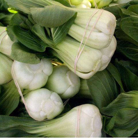 Pak Choi Baby Shanghai Greens Seeds (Organic)