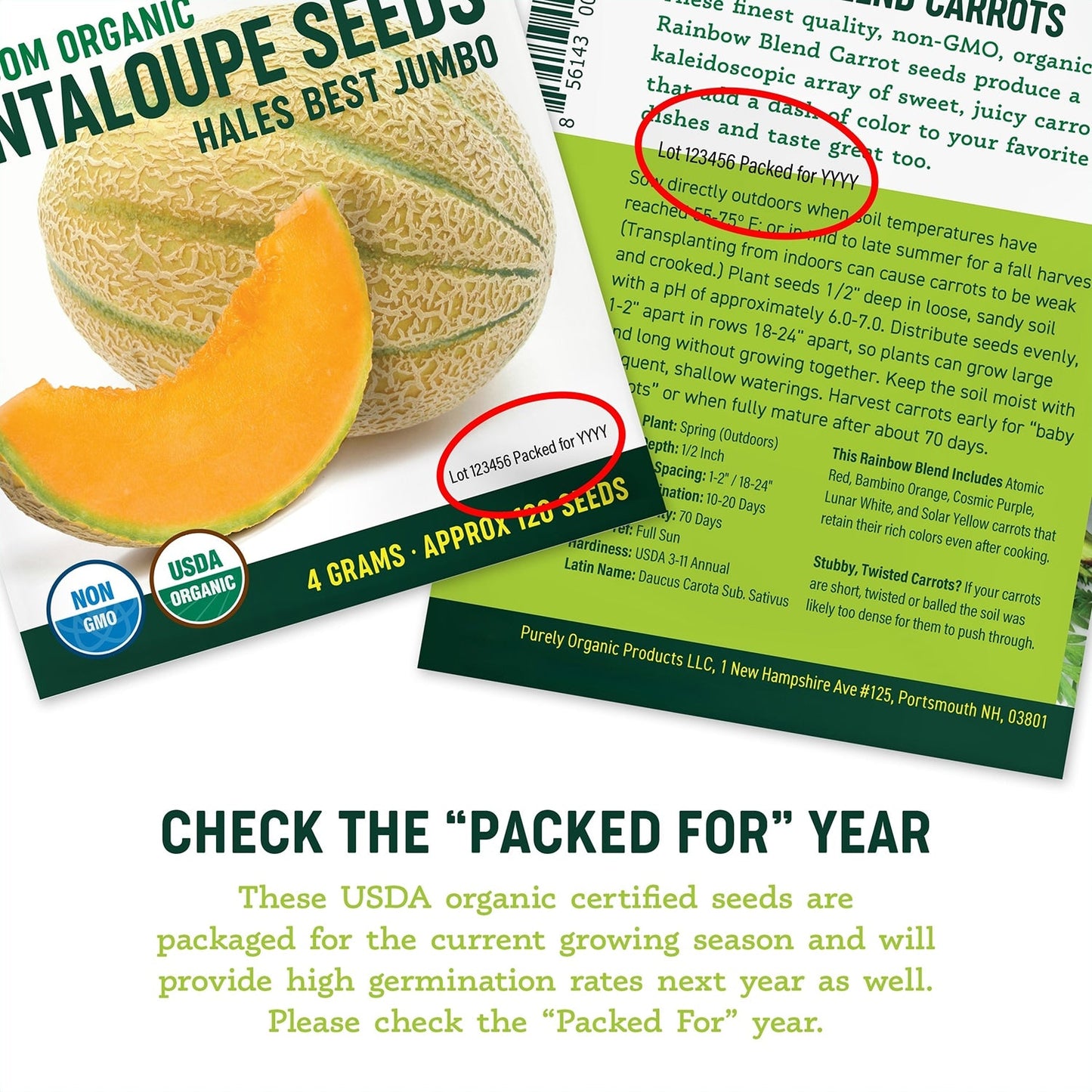 Purely Organic Boston Pickling Cucumber Seeds - USDA Organic