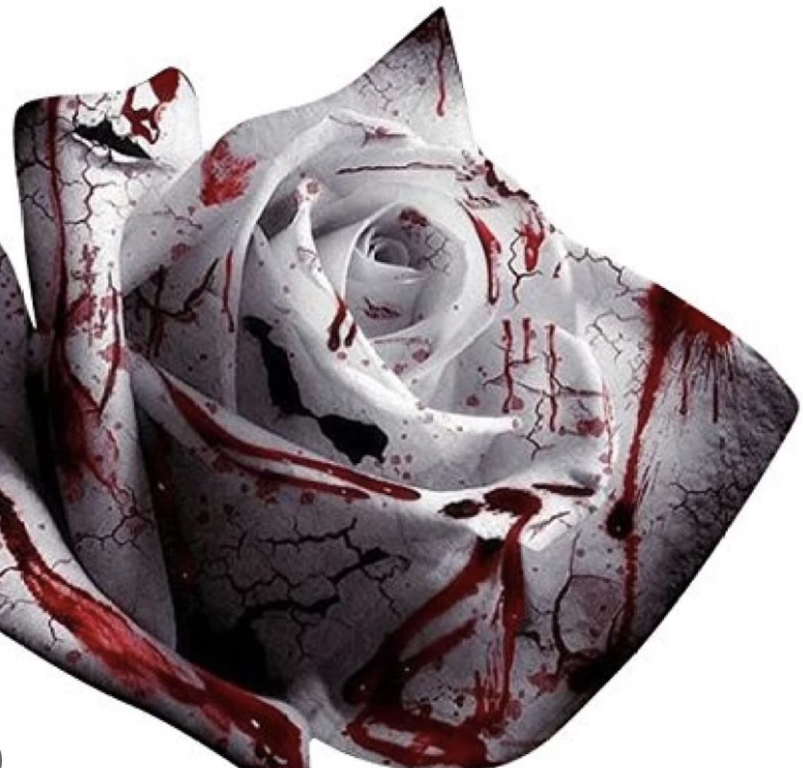 Rare White Blood Rose Plant Flower Seeds Flower Garden Asaka Rare True Blood Rose