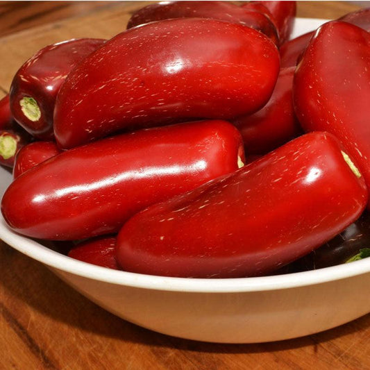 Hot Jalapeno Early Pepper Seeds (Organic)