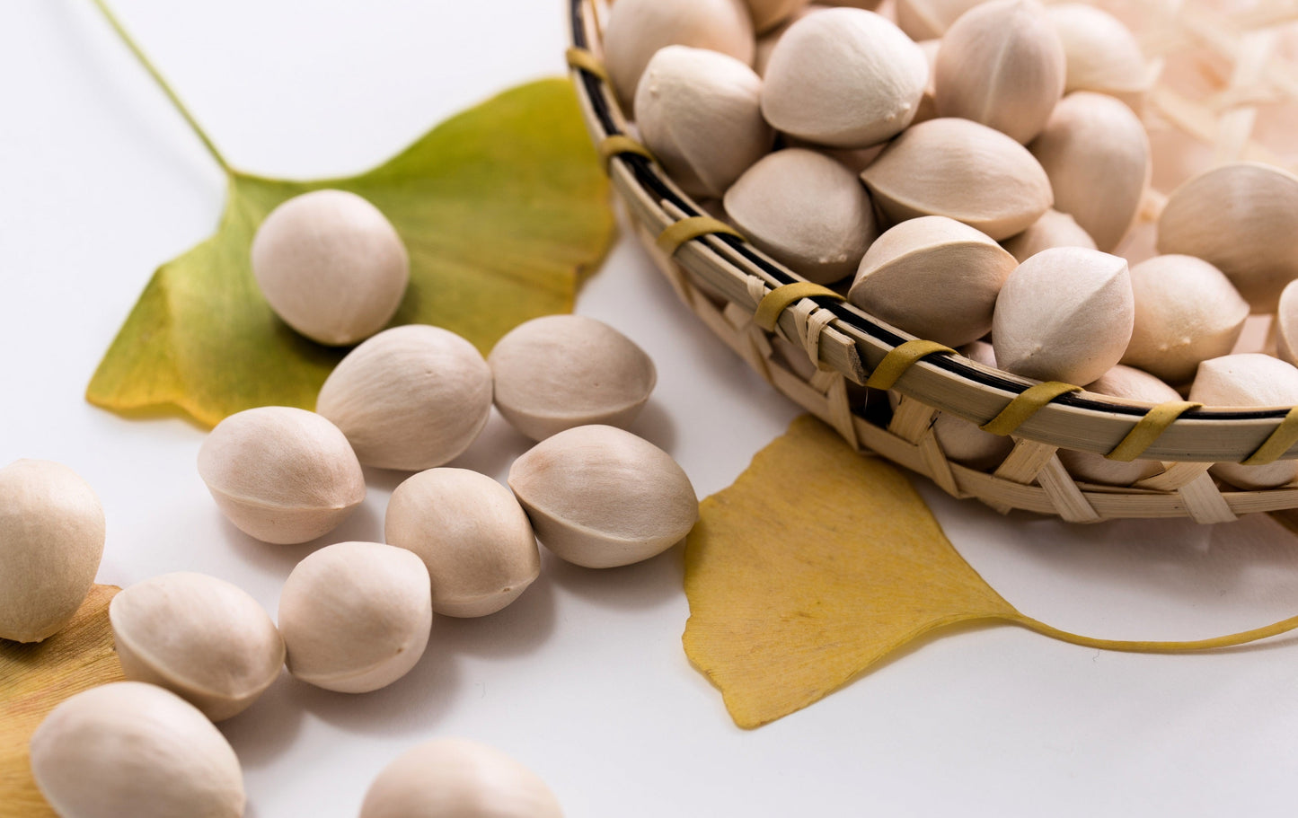 10 GINKGO BILOBA Maidenhair Tree Yellow Fall Orange "Fruit" Herb Seeds