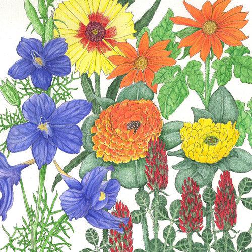 Butterfly Garden Wildflower Mix (pack)