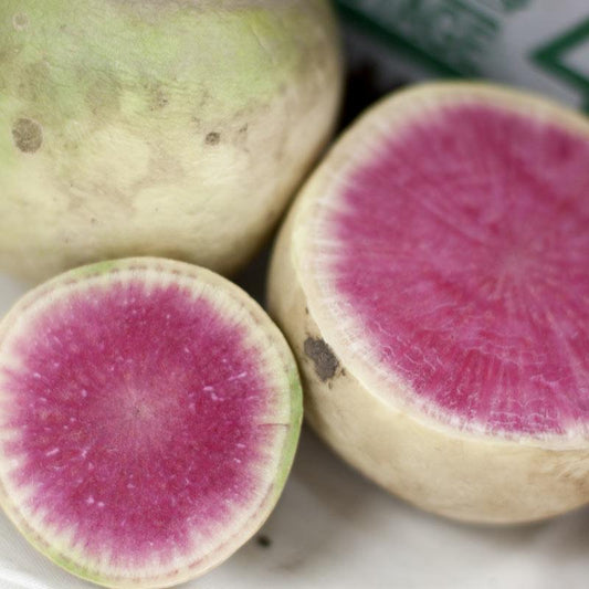 Watermelon Radish Seeds (Organic)
