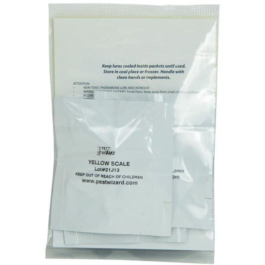 Pest Wizard Yellow Scale Lure 3-Pack