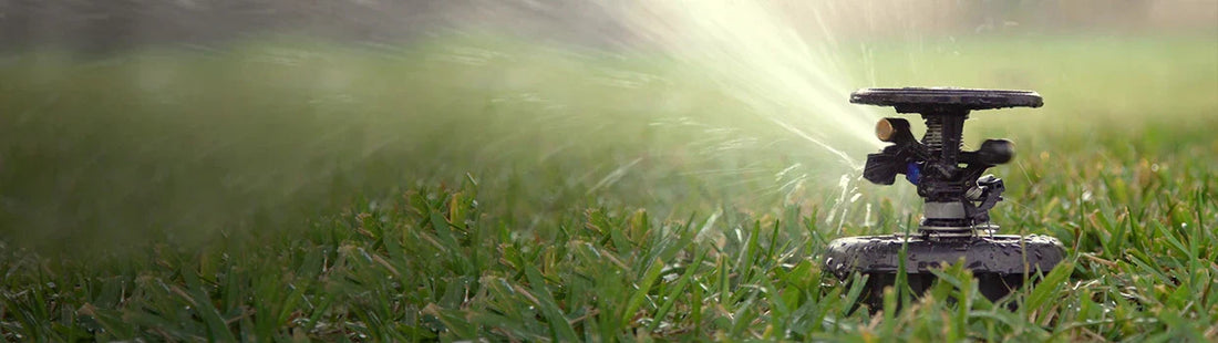 How Often Should You Water Your Lawn in Sheboygan in Summer?