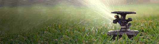 How Often Should You Water Your Lawn in Sheboygan in Summer?