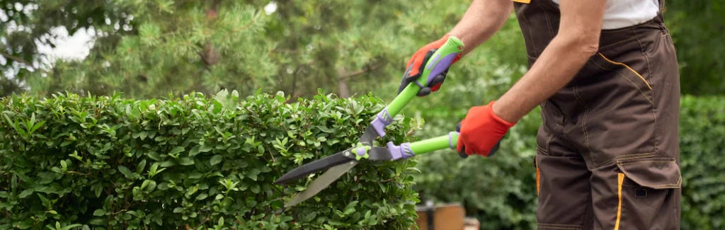Spring Lawn Cleanup in Sheboygan County: What's Included and Why It Matters