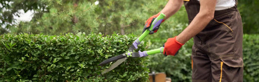 Spring Lawn Cleanup in Sheboygan County: What's Included and Why It Matters