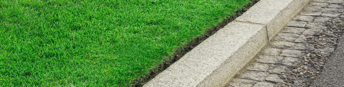 Why Lawn Edging Matters: The Detail That Separates a Good Yard From a Great One