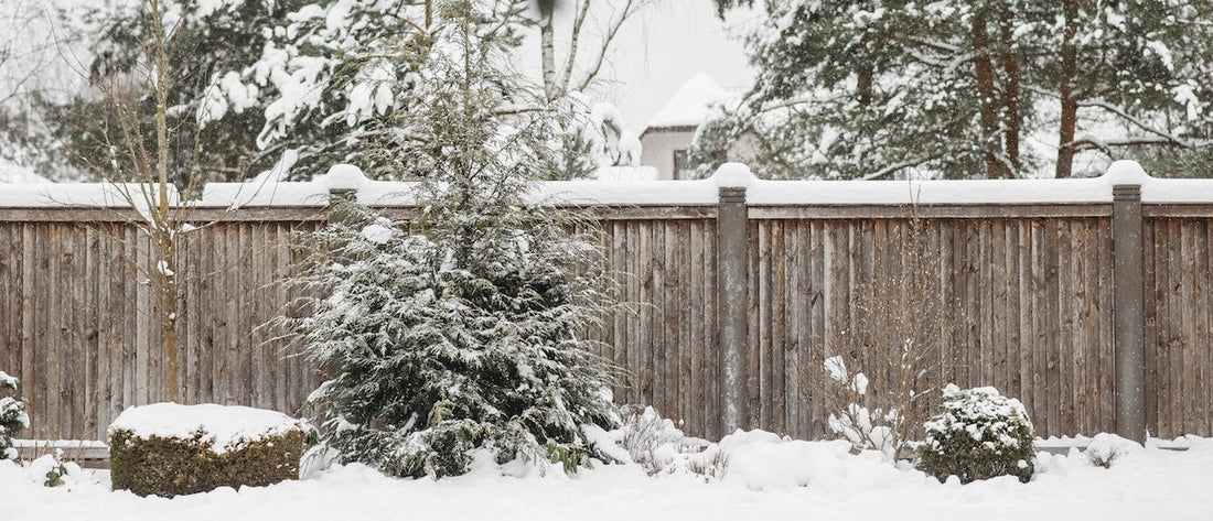 How to Protect Your Lawn and Plants During Harsh Wisconsin Winters