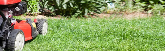 How Often Should You Mow Your Lawn in Wisconsin?