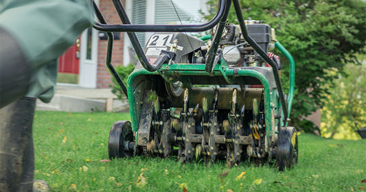 Lawn being aerated and overseeded in one fall visit in Sheboygan County