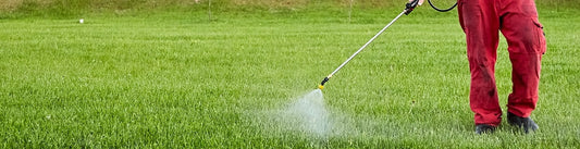 Pest & Weed Control for Late-Summer Sheboygan Yards