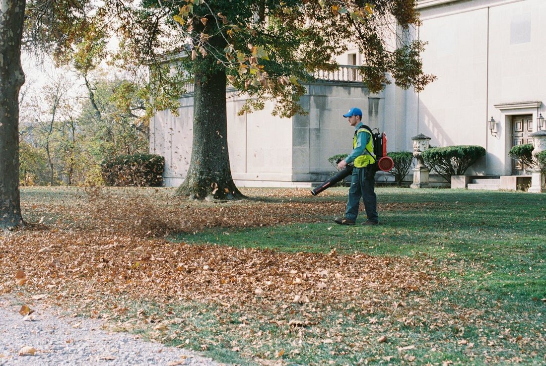 Clearing fallen leaves from a residential lawn in autumn