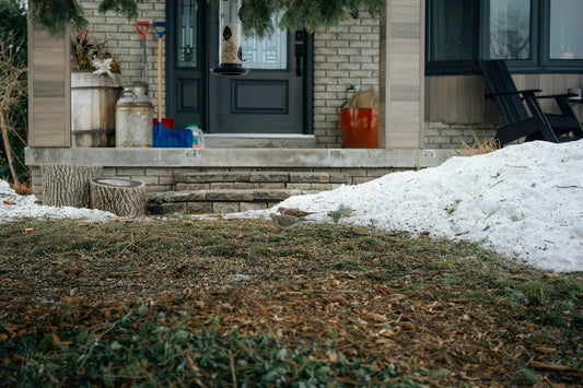 Snow melting off a front lawn in early spring