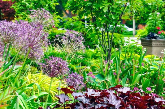 15 Fall-Blooming Wildflowers to Brighten Your Landscape
