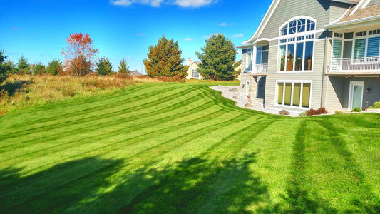 How to Choose a Lawn Care Company in Sheboygan County: 12 Questions to Ask Before You Hire