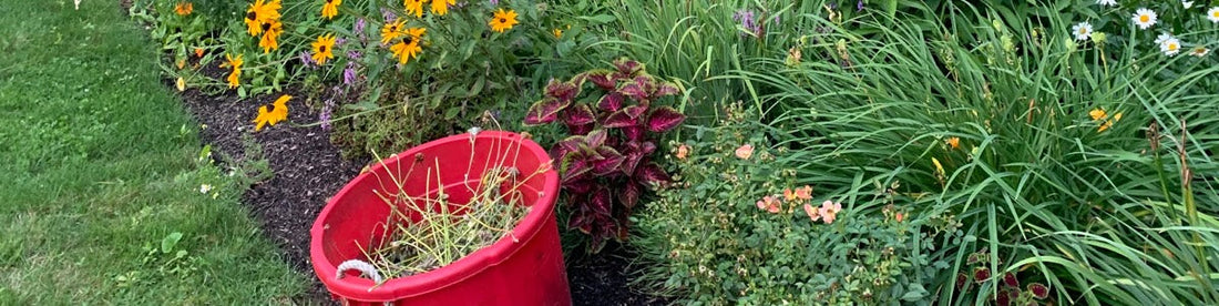 Sustainable Landscaping for Late-Summer in Sheboygan