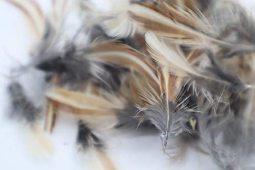 Rooster Feathers for Fly-Fishing or Crafts from Quail