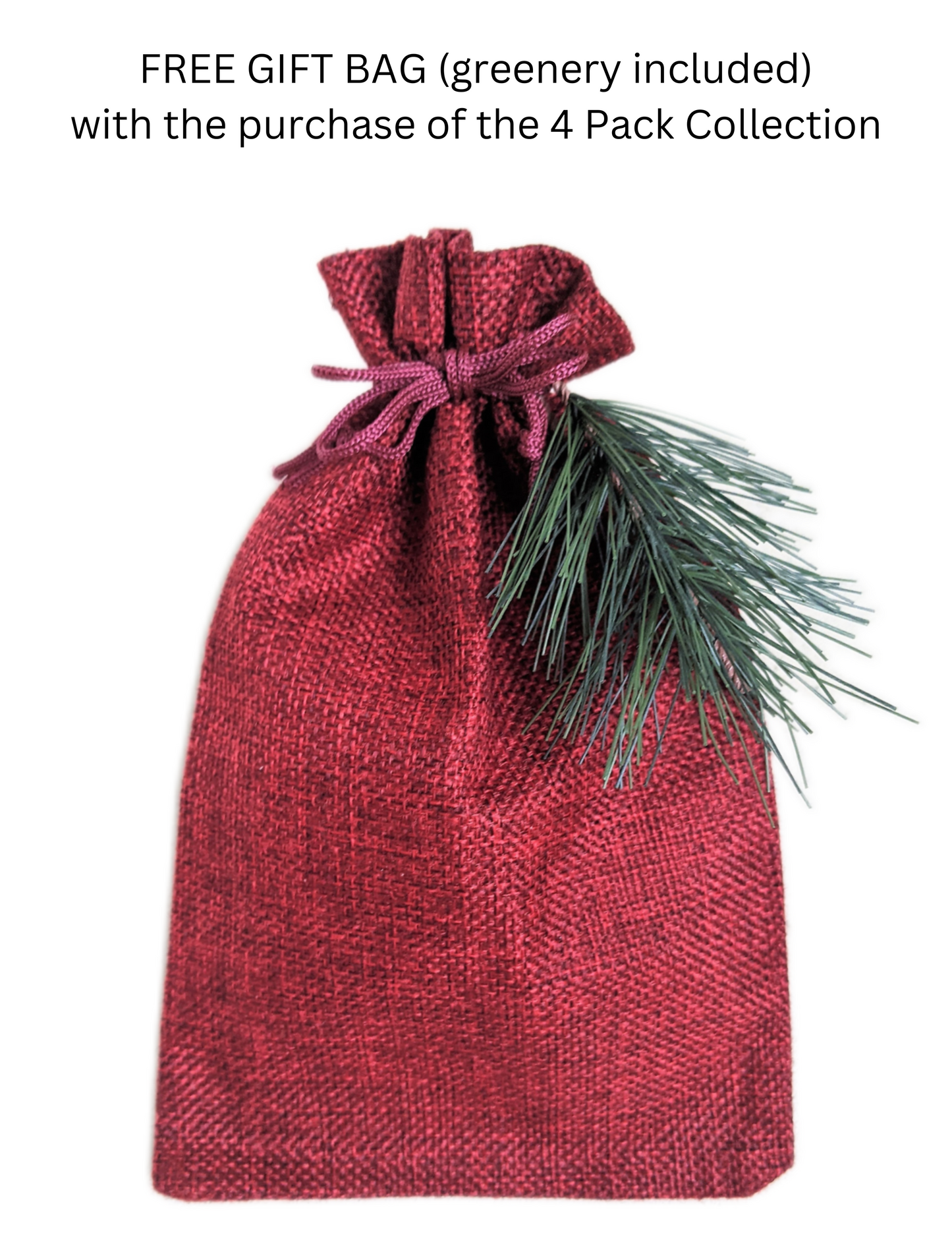 Grow Your Own CHRISTMAS TREE COLLECTION - 4 Gift Packets of Tree Seeds - Fraser Fir, Balsam Fir, Douglas Fir, & Blue Spruce + Free Gift Bag