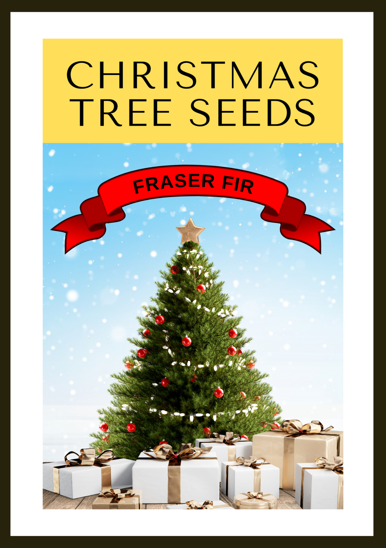 Grow Your Own CHRISTMAS TREE - Fraser Fir ( Abies Fraseri ) Gift Packet of Tree Seeds
