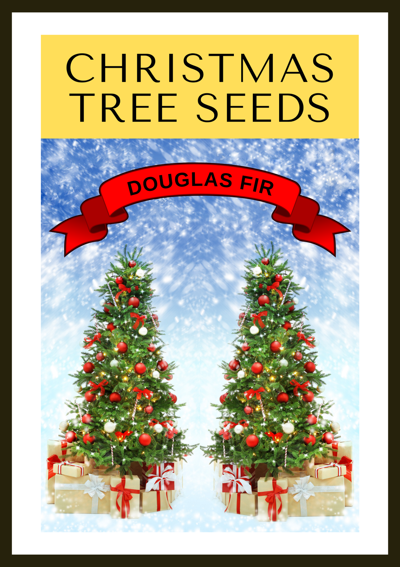 Grow Your Own CHRISTMAS TREE COLLECTION - 4 Gift Packets of Tree Seeds - Fraser Fir, Balsam Fir, Douglas Fir, & Blue Spruce + Free Gift Bag