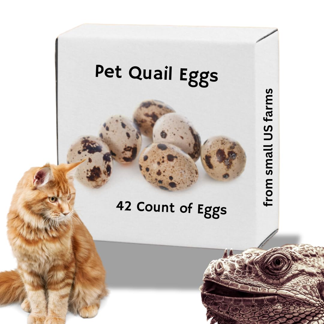 Whole Quail Eggs for Pets, Raw Feeding