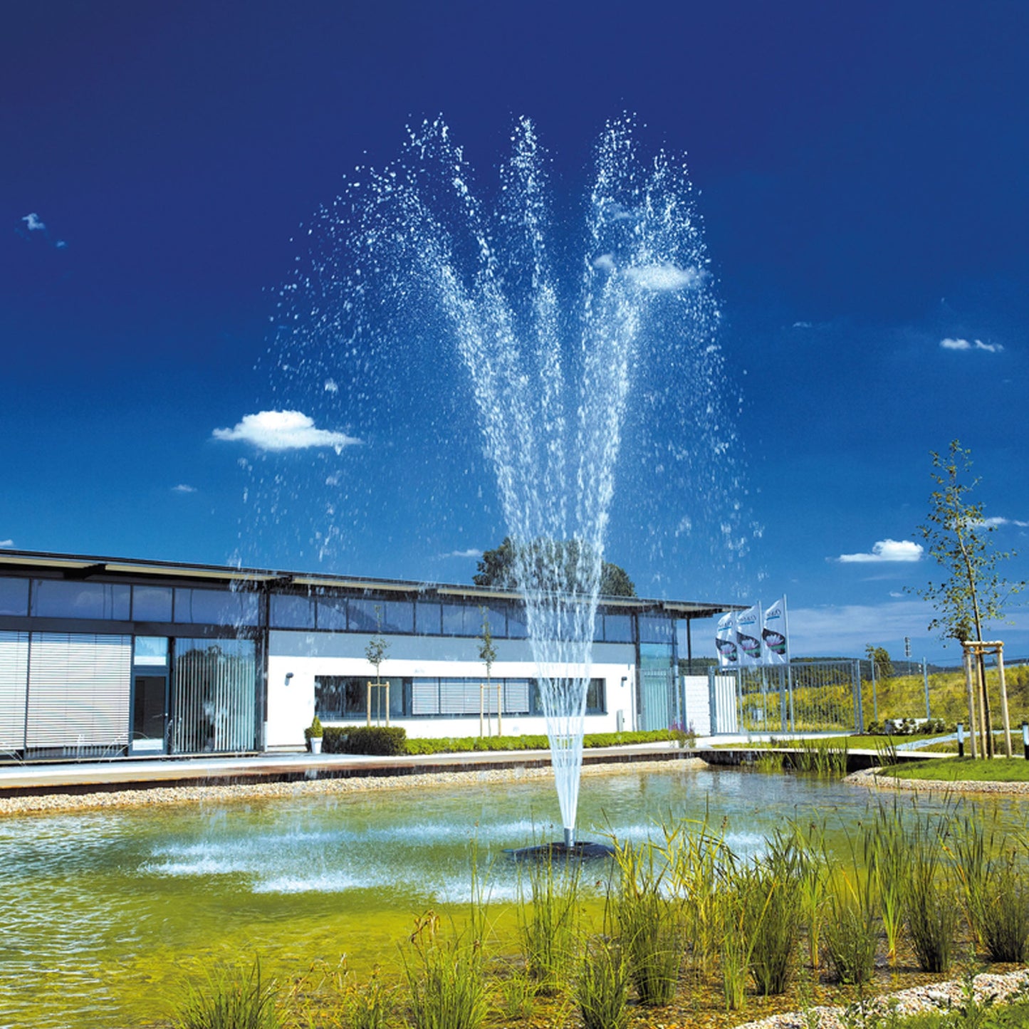 OASE Grand Vulcan 30 Fountain Nozzle