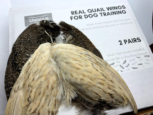 Real Quail Wings for Dog Training 2 Pair