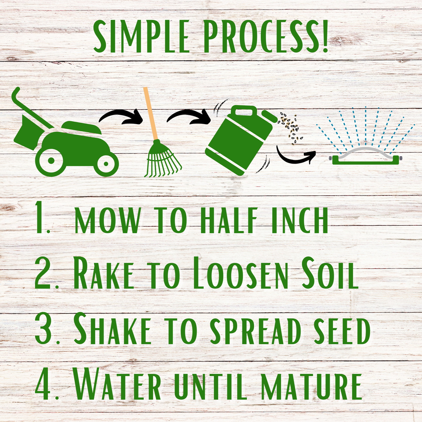 Speedy Bee Lawn Seed Kit – Quick Blooming, Pollinator-Friendly Flowering Lawn