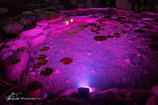 Aquascape 11-Watt Color-Changing Wide-Angle Light