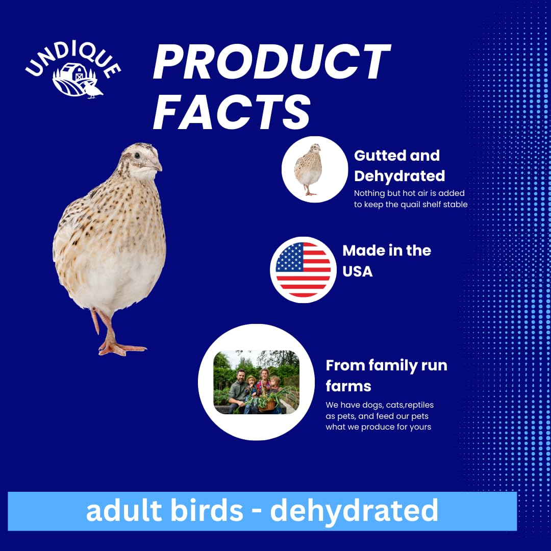 Quail Whole Pray dehydrated for Bird Dog Training or Falconry