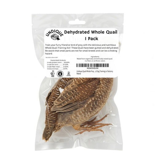 Quail Whole Pray dehydrated for Bird Dog Training or Falconry