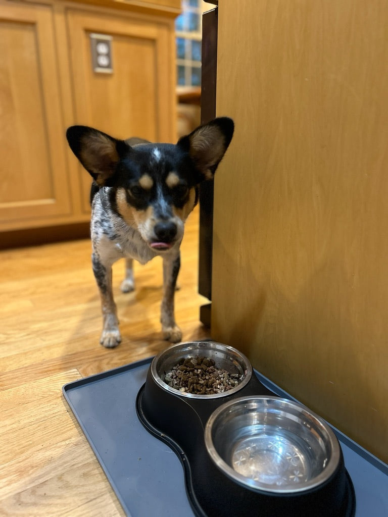 Pet Cotton Candy - Quail All Natural Protein-Rich Fluffy Treat for All Pets, one Ingredient only pet Treat and Food Topper for picky Eaters or gourmets. Made from Premium Quail Meat