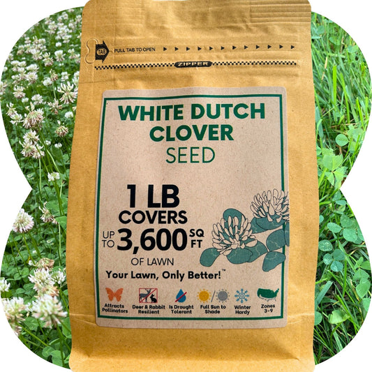 Dutch White Clover Seed