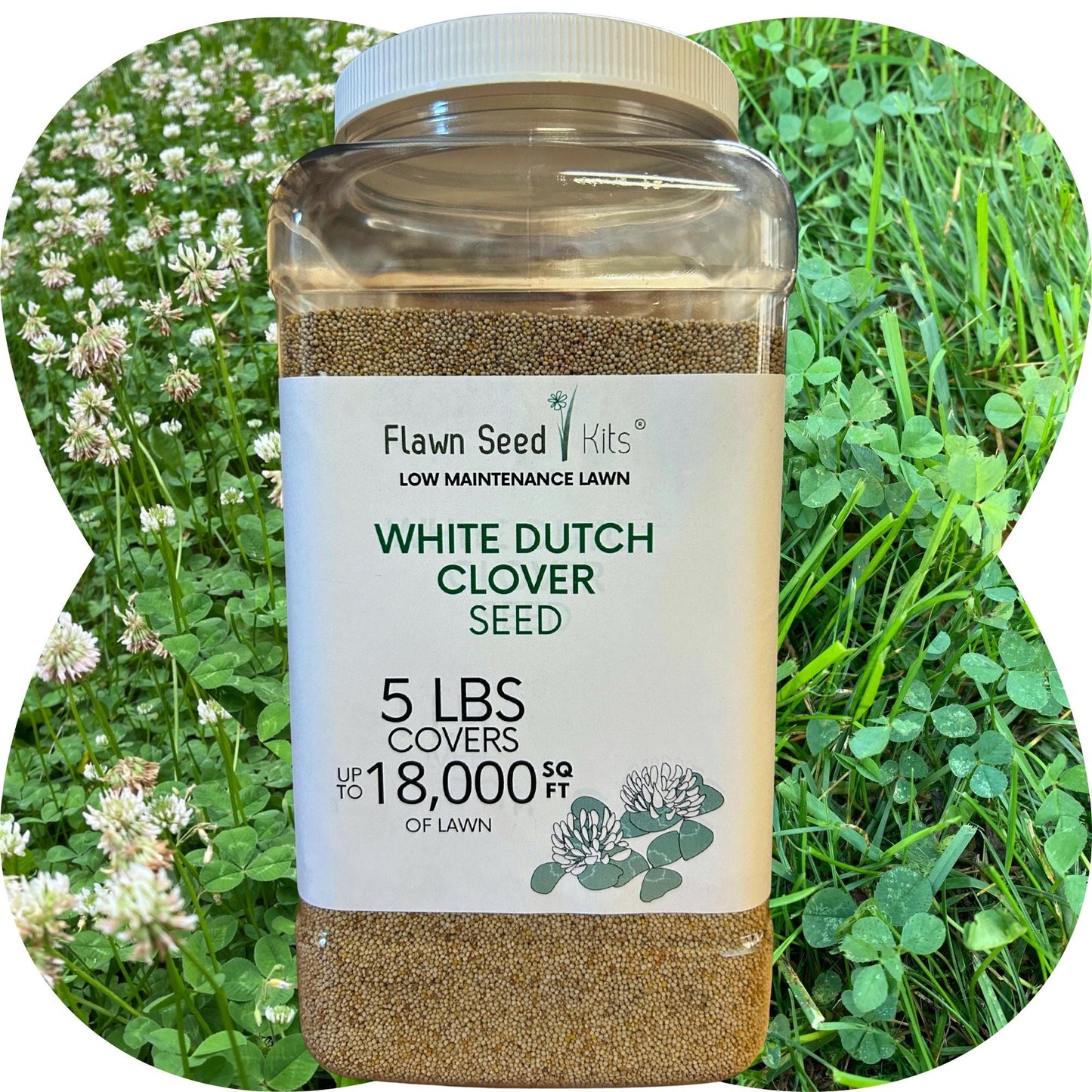 Dutch White Clover Seed