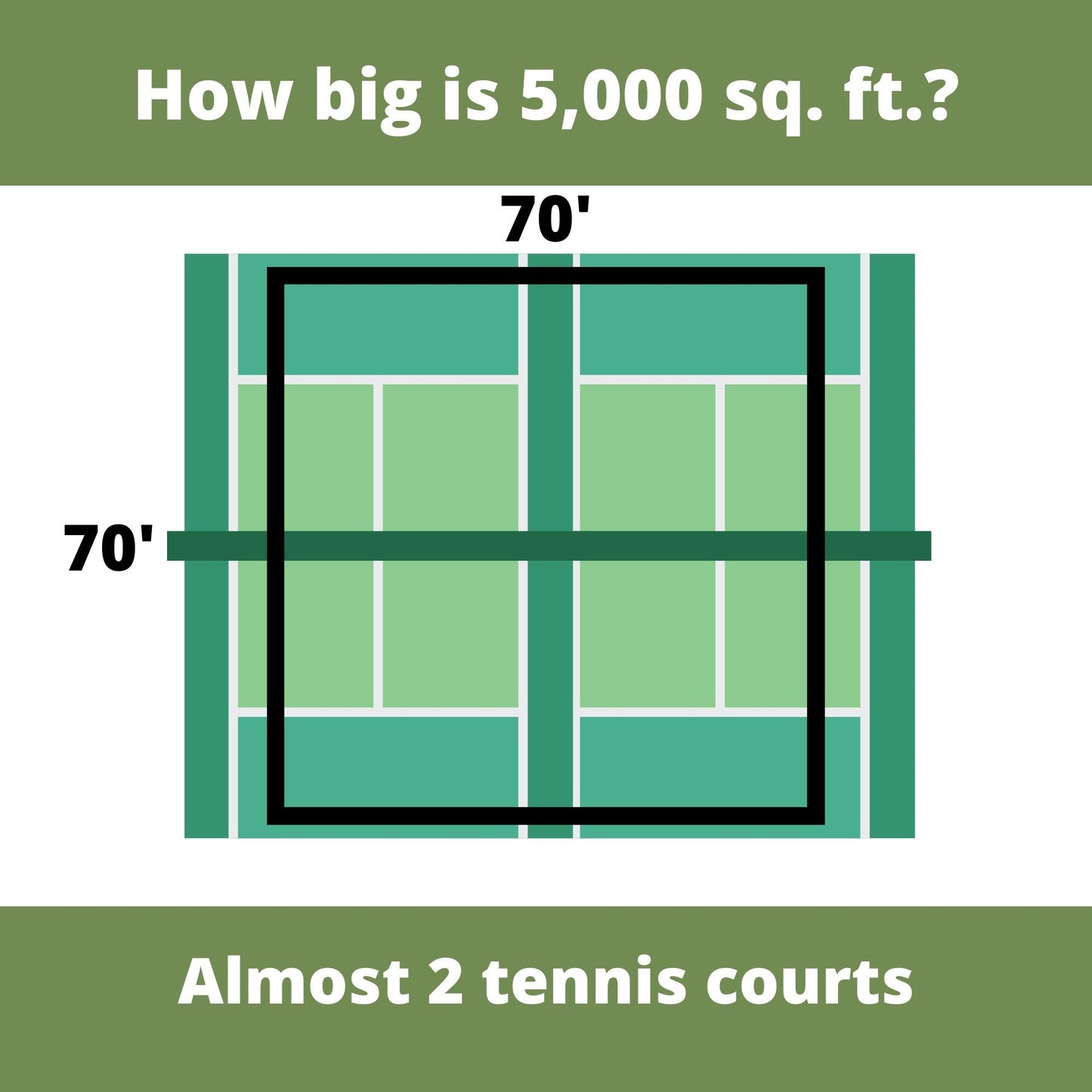 Speedy Bee Lawn Seed Kit – Quick Blooming, Pollinator-Friendly Flowering Lawn